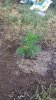 20150611_072646.jpg