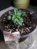 20150612_155046.jpg