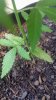 20150613_163957.jpg