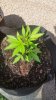 20150613_164035.jpg