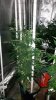 20150315_170658.jpg