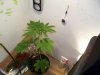 My Cam Pictures 270.jpg