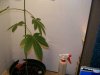 My Cam Pictures 271.jpg