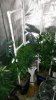 20150309_191208.jpg