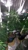 20150309_191211.jpg