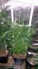 20150328_183926.jpg