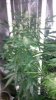 20150328_185104.jpg