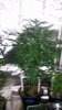 20150328_185048.jpg