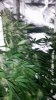 20150405_181448.jpg