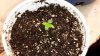 20150616_093814.jpg