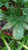20150620_113142.jpg