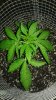 20150619_215151.jpg