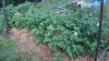 20150622_081536.jpg