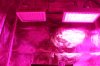 IMG_6299.JPG IMG_6299.JPG