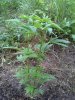 20150623_132138.jpg 20150623_132138.jpg