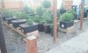 side yard2.jpg
