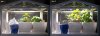 Day 1 and 10.jpg