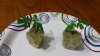 20150628_164211.jpg