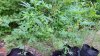 20150629_093609.jpg
