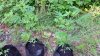 20150629_093638.jpg