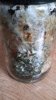20150628_124518.jpg