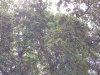 20150701_110921.jpg