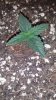 20150705_141914.jpg