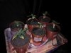 WP_001286.jpg