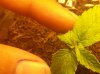 20150708_093837.jpg