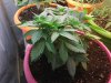 20150710_174838.jpg