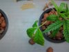 20150712_124537.jpg