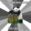 resized_pickup-line-panda-meme-generator-do-you-come-here-often-cos-i-just-did-3a59b4.jpg