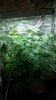 20150616_104929.jpg