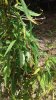 20150714_125434.jpg