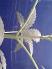 01-17-09_1236.jpg