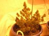 DSCN0573.jpg