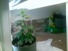 01-17-09_2150.jpg