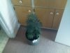 01-17-09_2152.jpg