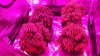 20150719_071623.jpg
