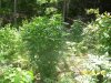 100_2190.JPG