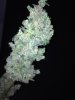 IMG-20150719-WA0005.jpg