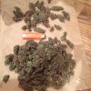IMG-20150720-WA0003.jpg