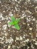 20150720_160150.jpg 20150720_160150.jpg