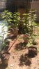 IMAG0266.jpg