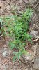 20150723_104336.jpg