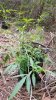 20150723_104320.jpg