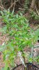 20150723_104255.jpg