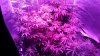 20150723_223920.jpg