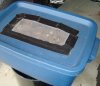 DSC08626a.jpg