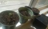 20150719_160413.jpg